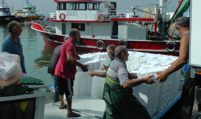 Karadeniz&#039;de palamut ve hamsi bolluğu
