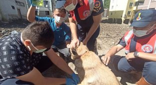 KASMİB, afet bölgesinde hizmetlerine devam ediyor