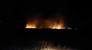 Kırıkhan'da ormanlık alanda yangın