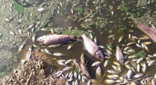 Kırklareli'nde gölette atık bırakan işletmeye 96 bin 525 lira ceza