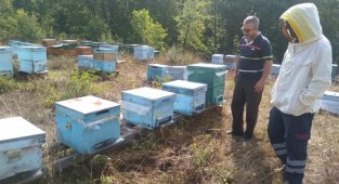 Kırklareli'nde meşe balı üreticileri bilgilendirildi