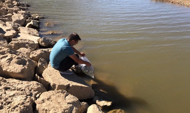 Konya&#039;da göletler balıklandırıldı