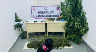 Kubar esrarla yakalanan şahıs tutuklandı