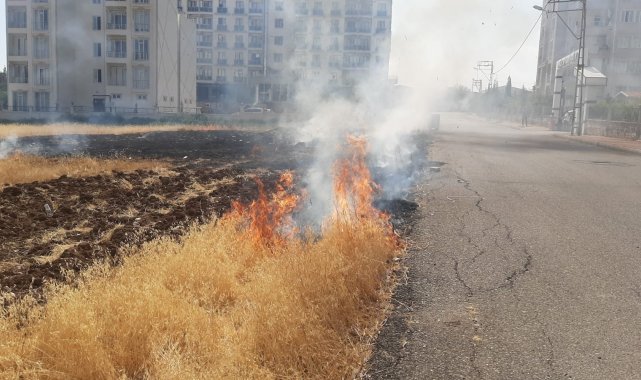 Mahalle arasındaki otluk yangını korkuttu