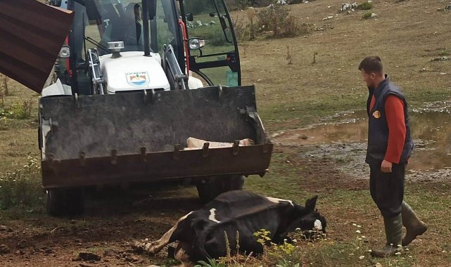 Mahalleyi kene korkusu sardı