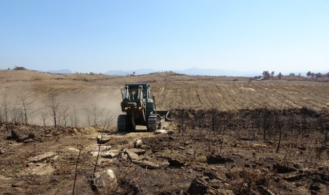 Manavgat&#039;ta yanan ormanlık alanlar iş makineleri tarafından dikime hazırlanıyor