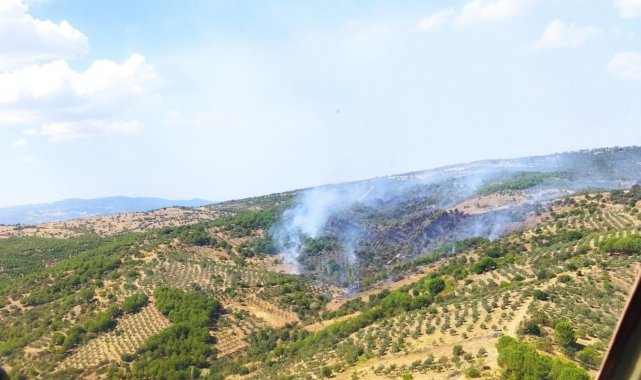 Manisa&#039;da çıkan orman yangını kontrol altında