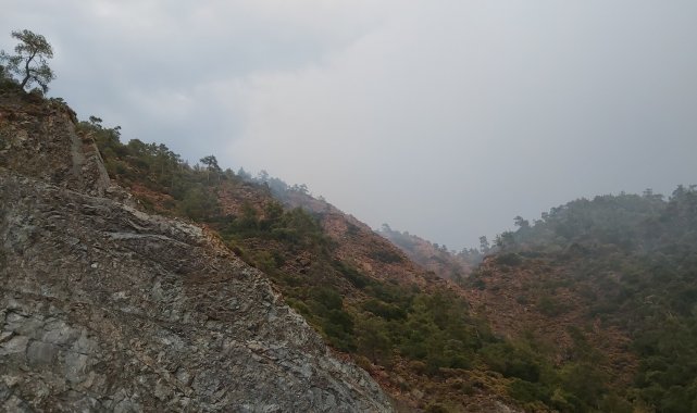 Marmaris&#039;te yıldırım düşmesi sonucu orman yangını çıktı