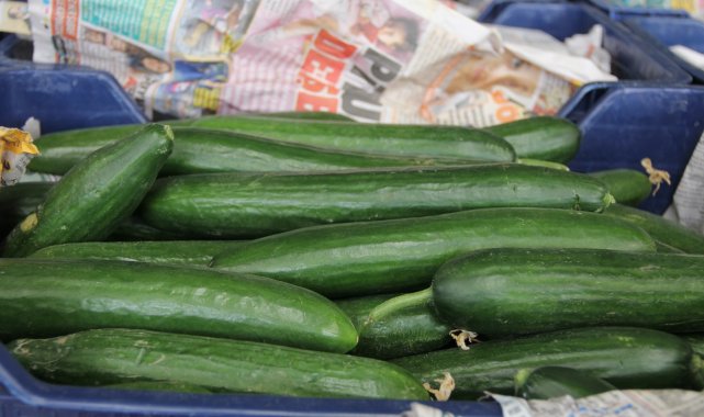 Mersin ve Adana&#039;nın ağustos ayı enflasyonu yüzde 19,17