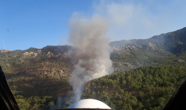Milas&#039;ta orman yangını