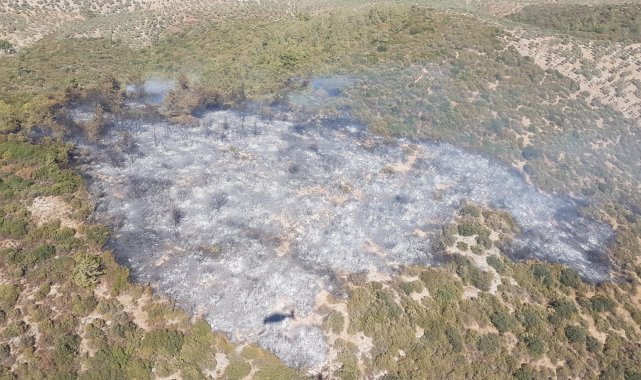 Milas&#039;taki yangın kontrol altına alındı