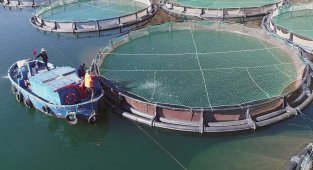 Muğla Ağustos ayında 67 milyon 618 bin TL ihracat yaptı