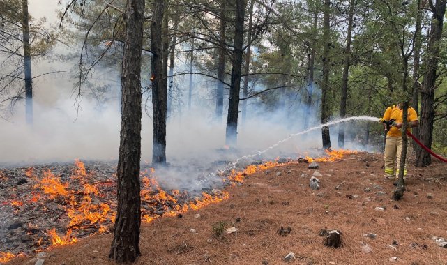 Muğla&#039;da 15 yıldırım yangını söndürüldü