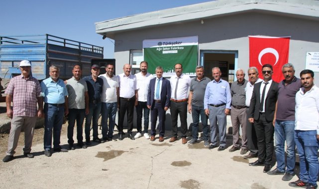 Muş&#039;un Malazgirt ilçesinde pancar alım kampanyası başladı