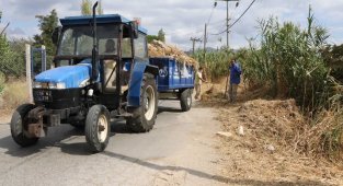 Nazilli Belediyesi'nden temizlik atağı