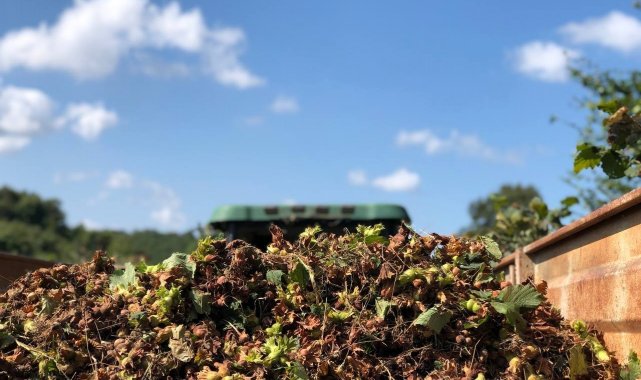 O ilçede fındık hasadında yüzde 20 düşüş yaşandı