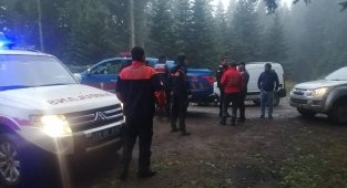 Onlar mantar bulmak için ekipler de onları bulmak için uğraştı