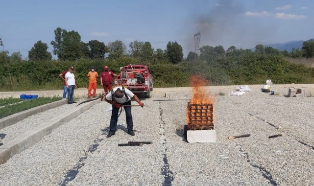 Orman yangınları için farklı kimyasalların kullanılması denendi