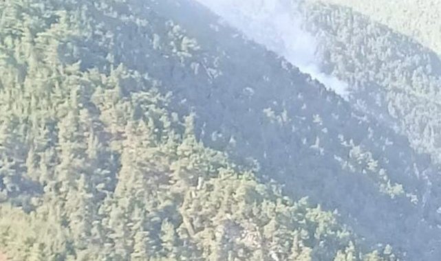 Ormana düşen yıldırım yangına neden oldu