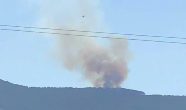 Ormanlık alanda başlayan yangın kontrol altına alındı