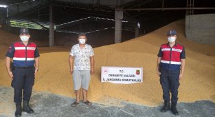 Osmaniye'de 52 ton mısır çalan şahıs yakalandı