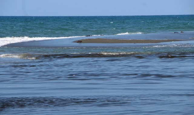 Petrol sızıntısı balıkçıları endişelendiriyor