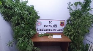 Rize'de iş yerine uyuşturucu baskını