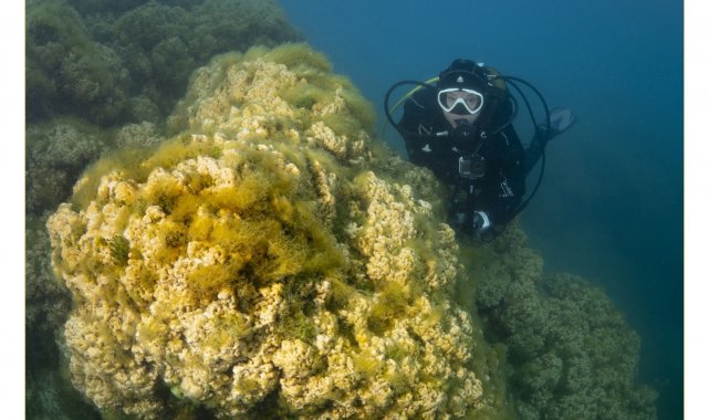 Salda Gölü&#039;nün ekosistemi bilimsel çalışmalar için görüntülendi
