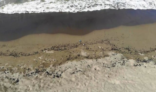 Samandağ sahilinde temizlik çalışmaları devam ediyor