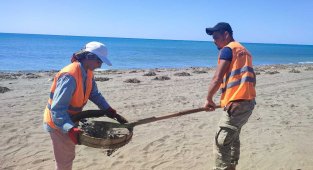 Samandağ sahilinin 12 kilometresi petrol atıklarından temizlendi