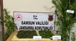 Samsun'da 4 kilo kubar esrar ele geçirildi