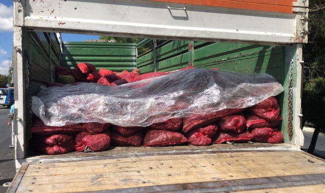 Sebze ve meyve halinde 6 ton kaçak midye ele geçirildi