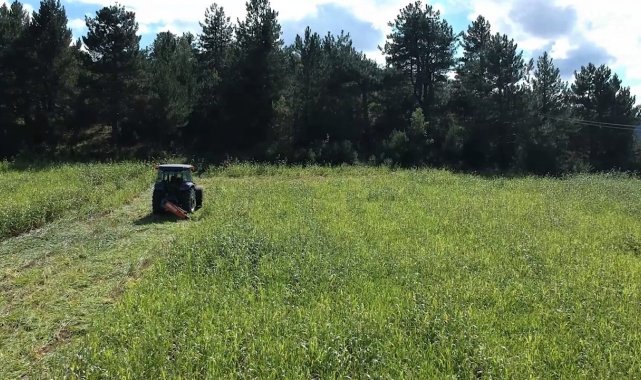 Şeker sorgumu çiftçisinin yüzünü güldürdü