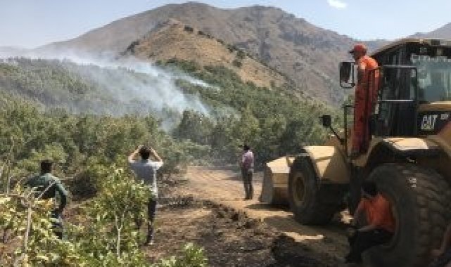 Şemdinli&#039;de orman yangını kontrol altına alındı