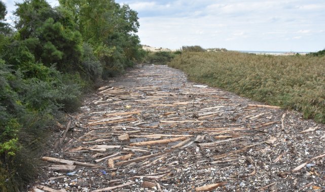 Sinop&#039;ta korkutan görüntü: Sarıkum&#039;da doğal hayat risk altında