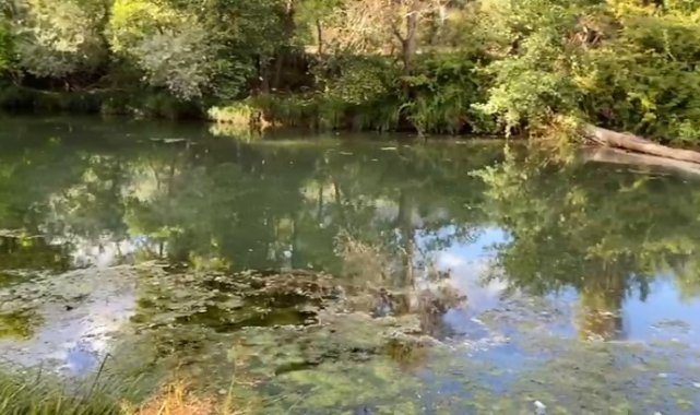 Soğanlı Çayı&#039;nda kirlilik alarmı: Vatandaşlar kokudan yanına yaklaşamıyor