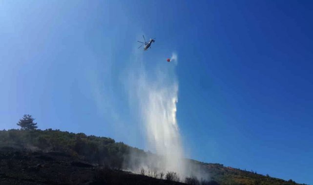 Söke&#039;de zirai alanda yangın