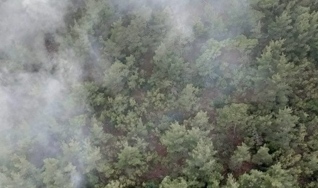 Soma&#039;daki orman yangını kontrol altında
