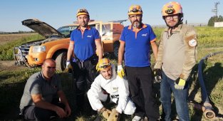 Su kuyusuna düşen yavru köpeği AFAD kurtardı