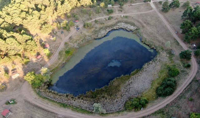 Sülük hırsızları köylüyü canından bezdirdi