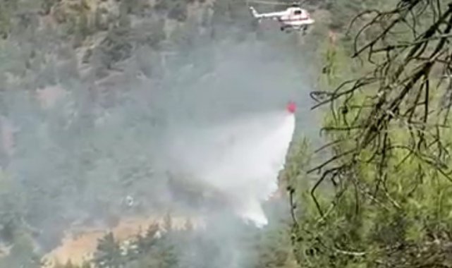 Tavşanlı&#039;da orman yangını