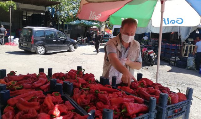 Taze Kırmızı Bibere Hasat sonrası denetim