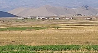 Tendürek Dağı'nın zirvesinde kar yağdı