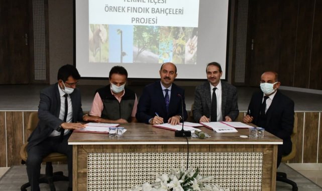 Terme&#039;ye &#039;örnek fındık bahçeleri&#039; kuruluyor: Kalite ve verim artacak
