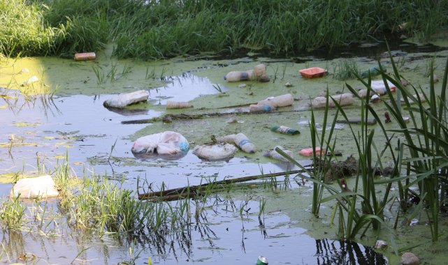 Tunca Nehrinde ödüllü çöp toplama etkinliği