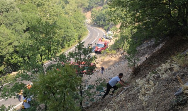 Tunceli&#039;deki yangınların büyük bölümü kontrol altına alındı