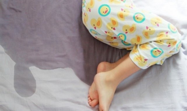 Tuvalet eğitimi için ideal dönem: 18-36 ay arası