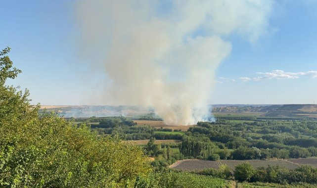 UNESCO Dünya Mirası Listesi&#039;nde yer alan Diyarbakır&#039;daki 7 bin yıllık Hevsel Bahçeleri&#039;nde yangın çıktı. Bölgeye sevk edilen itfaiye ekipleri yangına müdahale ediyor.
