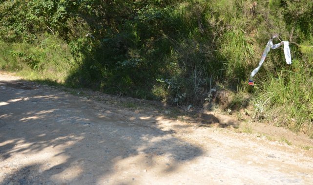 Ünye&#039;de ormanlık alanda işlenen cinayetin zanlısı belli oldu