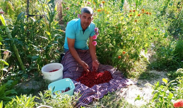 Üretim düştü, fiyatlar ikiye katlandı